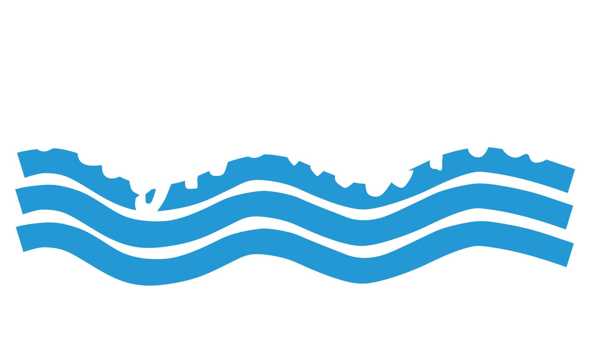 logo bagnomaria